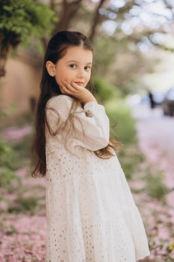 Parkta poz veren çekici bir kızın portresi. Bahar zamanı yere düşen pembe taçyapraklarla.