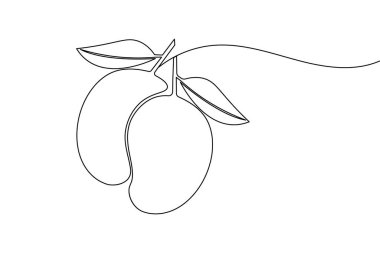 Mango meyvesi bir çizgi çizimi ve minimalist stil ana hatlı vektör çizimini izole eder