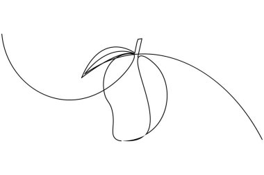 Mango meyvesi bir çizgi çizimi ve minimalist stil ana hatlı vektör çizimini izole eder