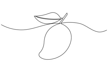 Mango meyvesi bir çizgi çizimi ve minimalist stil ana hatlı vektör çizimini izole eder