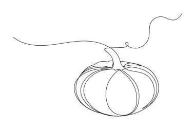 Kabak aralıksız bir çizgi çizer ve minimalist stil ana hatları izole eder.