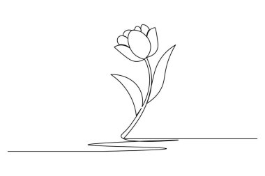 Lale çiçeği sürekli bir çizgi çizer ve minimalist stil dış hat vektör simgesini izole eder