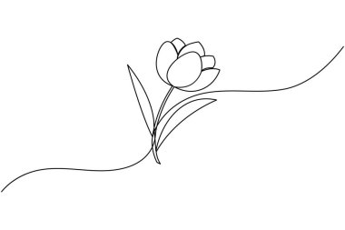 Lale çiçeği sürekli bir çizgi çizer ve minimalist stil dış hat vektör simgesini izole eder