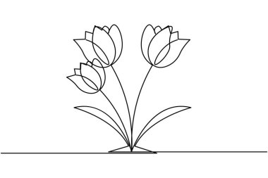 Lale çiçeği sürekli bir çizgi çizer ve minimalist stil dış hat vektör simgesini izole eder