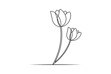 Lale çiçeği sürekli bir çizgi çizer ve minimalist stil dış hat vektör simgesini izole eder