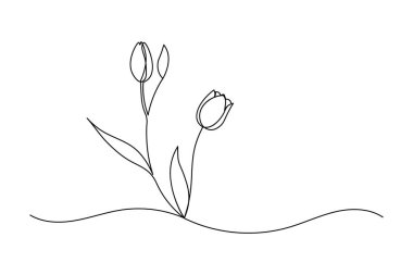 Lale çiçeği sürekli bir çizgi çizer ve minimalist stil dış hat vektör simgesini izole eder