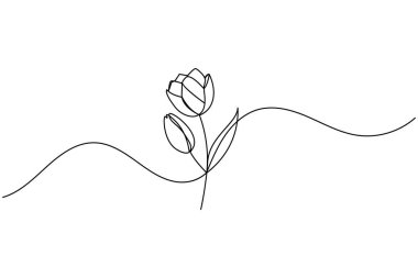 Lale çiçeği sürekli bir çizgi çizer ve minimalist stil dış hat vektör simgesini izole eder