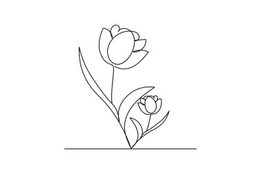 Lale çiçeği sürekli bir çizgi çizer ve minimalist stil dış hat vektör simgesini izole eder