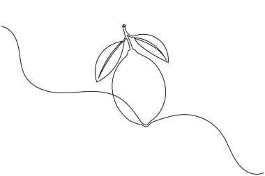 Yapraklı limon çizimi