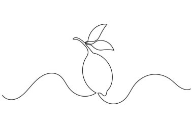 Yapraklı limon çizimi