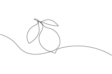 Yapraklı limon çizimi