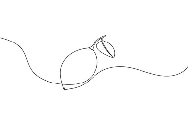 Yapraklı limon çizimi