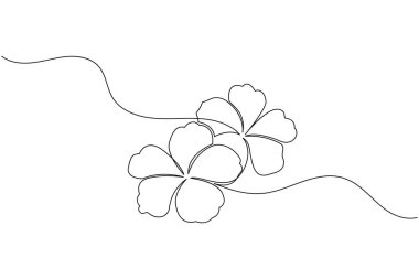 Beyaz arkaplanda izole edilmiş amber çiçeği vektör illüstrasyonunun kesintisiz çizgi çizimi