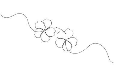 Beyaz arkaplanda izole edilmiş amber çiçeği vektör illüstrasyonunun kesintisiz çizgi çizimi