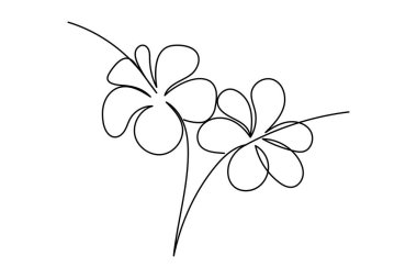 Beyaz arkaplanda izole edilmiş amber çiçeği vektör illüstrasyonunun kesintisiz çizgi çizimi