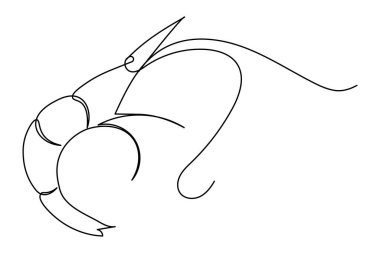 Temiz minimalist beyaz arkaplanlı bir çizgi karides çizimi