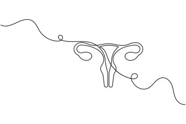 Dölyatağı tüplü bir insan rahminin minimalist çizimi. Modern tıbbi anatomi kavramı