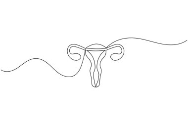 Dölyatağı tüplü bir insan rahminin minimalist çizimi. Modern tıbbi anatomi kavramı