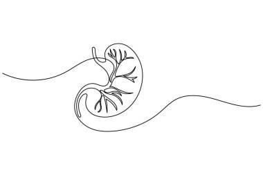 İnsan midesi ikonu anatomi ve tıbbi tasarım kavramları için sürekli bir çizgi çizer.