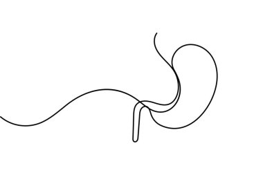 İnsan midesi ikonu anatomi ve tıbbi tasarım kavramları için sürekli bir çizgi çizer.