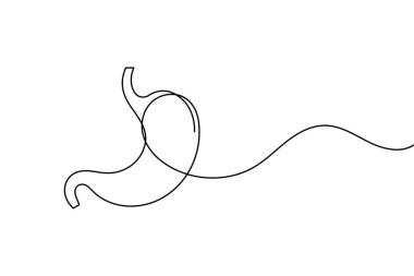 İnsan midesi ikonu anatomi ve tıbbi tasarım kavramları için sürekli bir çizgi çizer.