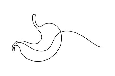 İnsan midesi ikonu anatomi ve tıbbi tasarım kavramları için sürekli bir çizgi çizer.