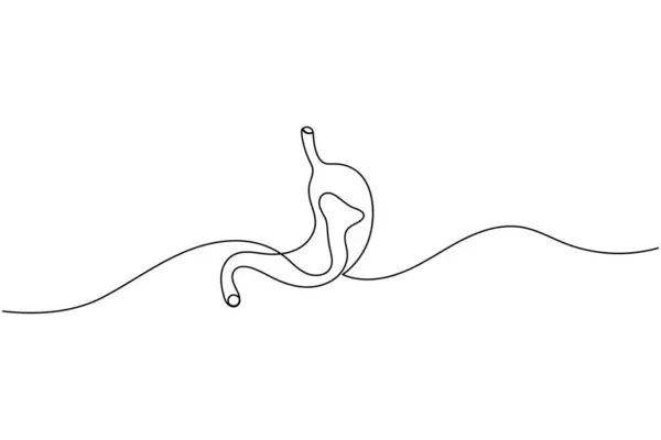 İnsan midesi ikonu anatomi ve tıbbi tasarım kavramları için sürekli bir çizgi çizer.