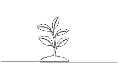 Yapraklı bir bitki filizi çizimi, beyaz arkaplanda basit bir doğa vektör çizimi