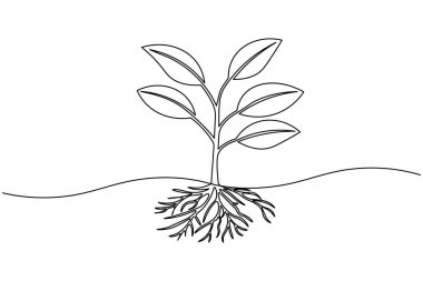 Yapraklı bir bitki filizi çizimi, beyaz arkaplanda basit bir doğa vektör çizimi