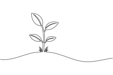 Yapraklı bir bitki filizi çizimi, beyaz arkaplanda basit bir doğa vektör çizimi