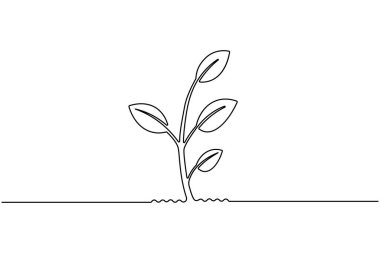 Yapraklı bir bitki filizi çizimi, beyaz arkaplanda basit bir doğa vektör çizimi