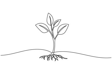 Yapraklı bir bitki filizi çizimi, beyaz arkaplanda basit bir doğa vektör çizimi