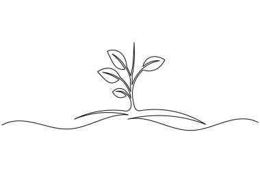 Yapraklı bir bitki filizi çizimi, beyaz arkaplanda basit bir doğa vektör çizimi