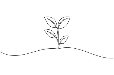 Yapraklı bir bitki filizi çizimi, beyaz arkaplanda basit bir doğa vektör çizimi