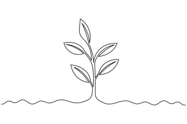 Yapraklı bir bitki filizi çizimi, beyaz arkaplanda basit bir doğa vektör çizimi