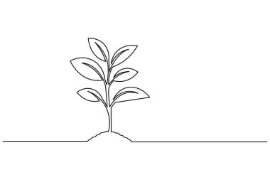 Yapraklı bir bitki filizi çizimi, beyaz arkaplanda basit bir doğa vektör çizimi
