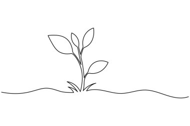 Yapraklı bir bitki filizi çizimi, beyaz arkaplanda basit bir doğa vektör çizimi