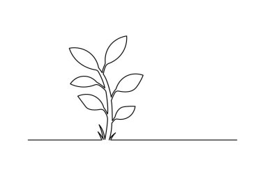 Yapraklı bir bitki filizi çizimi, beyaz arkaplanda basit bir doğa vektör çizimi