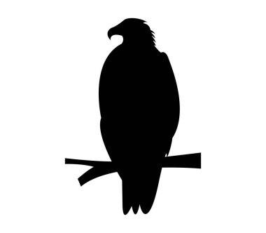 Vahşi kartal vektör sanatının silueti