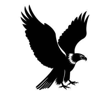 Vahşi kartal vektör sanatının silueti