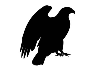 Vahşi kartal vektör sanatının silueti