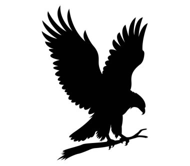 Vahşi kartal vektör sanatının silueti