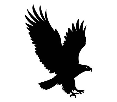 Vahşi kartal vektör sanatının silueti