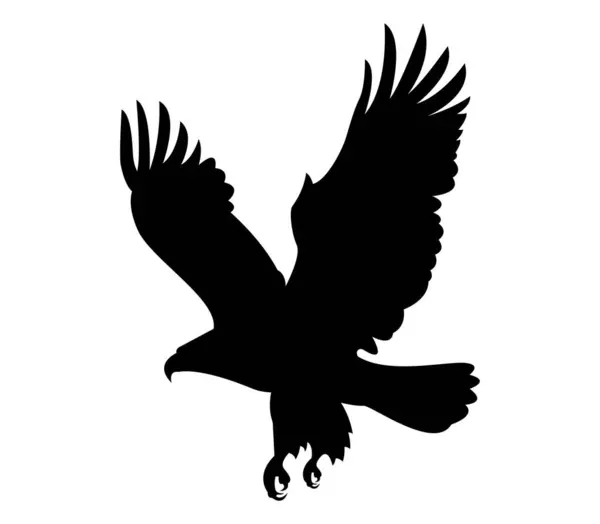 Vahşi kartal vektör sanatının silueti