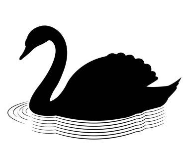 Kuğu vektör sanatının silueti