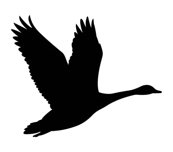 Uçan kuğu vektör sanatının silüeti
