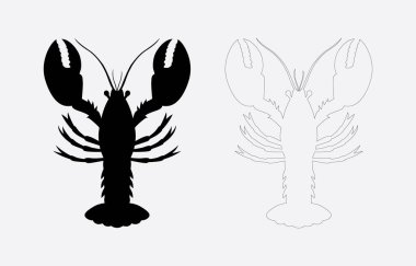 Istakoz vektör sanatı Resimleri beyaz arkaplanda izole edildi