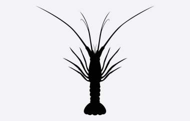 Istakoz vektör sanatı Resimleri beyaz arkaplanda izole edildi