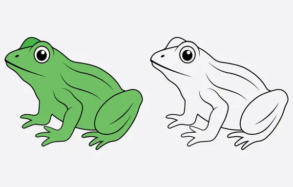 Renkli kurbağa vektör sanatı Beyaz arkaplanda izole edilmiş