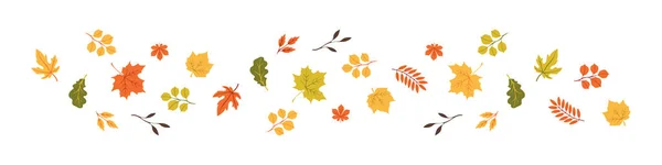 Folhas Outono Uma Fileira Olá Autumn Conjunto Folhas Outono Conceito —  Vetores de Stock